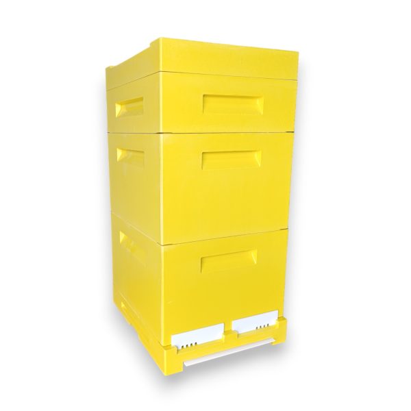 STUPI PE 10 RAME - SET COMPLET